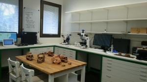 The Drimolen Paleoanthropology Lab at LTU