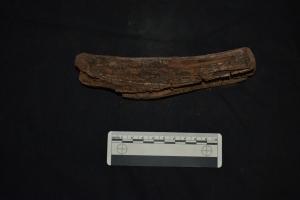 Wood from Amanzi Springs